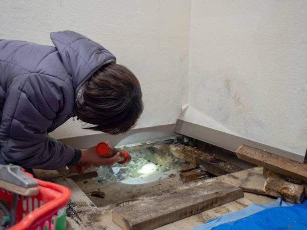 Best Post-Construction Mold Inspection  in Cosmopolis, WA