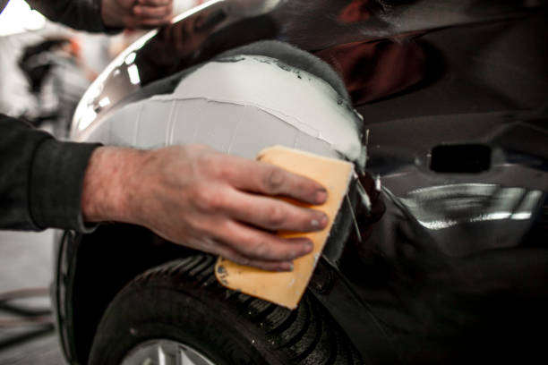 Professional Mold Removal in Cosmopolis, WA