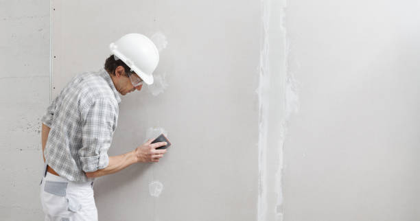 Best Mold-Related Health Consultation  in Cosmopolis, WA